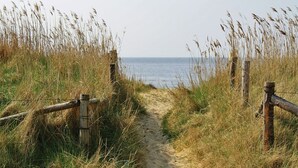 Een zanderig pad langs het strand, omringd door hoog gras en houten omheiningen.