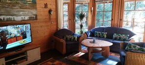 Smart TV, fireplace, DVD player, books