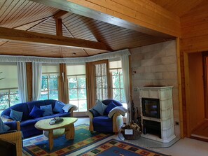 TV connectée, cheminée, lecteur de DVD, livres