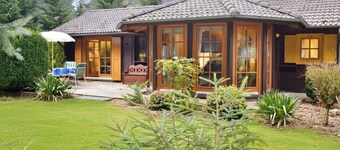 Rest and relaxation in the forest - All Inclusive -