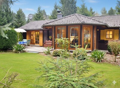 Rest and relaxation in the forest - All Inclusive -