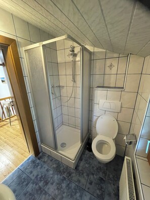 A bathroom with a shower enclosure, a toilet, and a radiator.