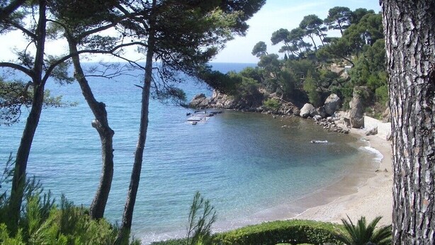 A coastal landscape with a clear view of the sea, a sandy beach, and dense greenery including trees and shrubs. - Comfortable apartment, beach, pool, tennis, sailing, sea view, golf, diving (Le Pradet)