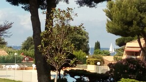 Un jardín con un árbol, césped y un pequeño puente.
