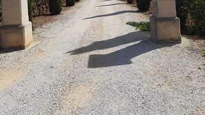 A gravel pathway flanked by tall cypress trees and stone pillars with a number plaque. - Comfortable apartment, beach, pool, tennis, sailing, sea view, golf, diving (Le Pradet)
