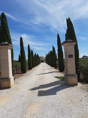 Un camino de grava bordeado por altos cipreses y pilares de piedra con una placa numérica.