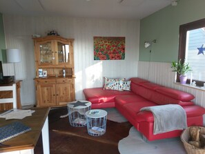 TV, fireplace, DVD player, books