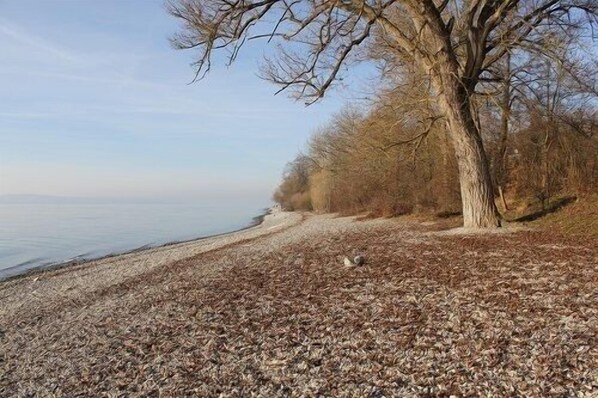 Plage à proximité, chaises longues