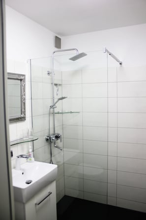 Shower, hair dryer, towels, toilet paper - studio (Meersburg)