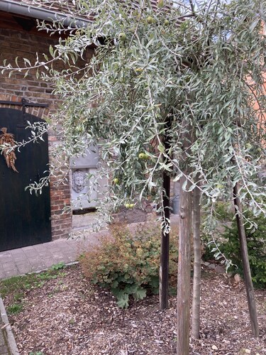 Landlust Bergsdorf -  Entspannung pur am Stadtrand von Berlin!