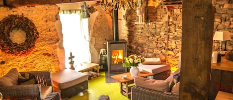 Télévision à écran plat, cheminée, lecteur de DVD, livres