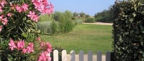Una cerca blanca con flores rosadas a la izquierda y un seto cuidado a la derecha.