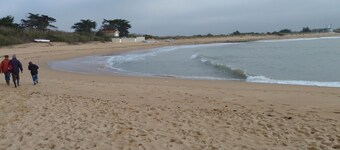 TYPICAL OLERONNAISE IN STONE OF COAST