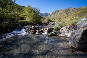 Un arroyo de montaña cristalino con rocas y vegetación.