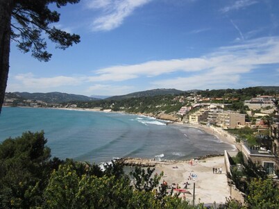 T2, 1 bedroom, 100 m from the beach, private swimming pool and parking, air conditioning, WIFI, linen included