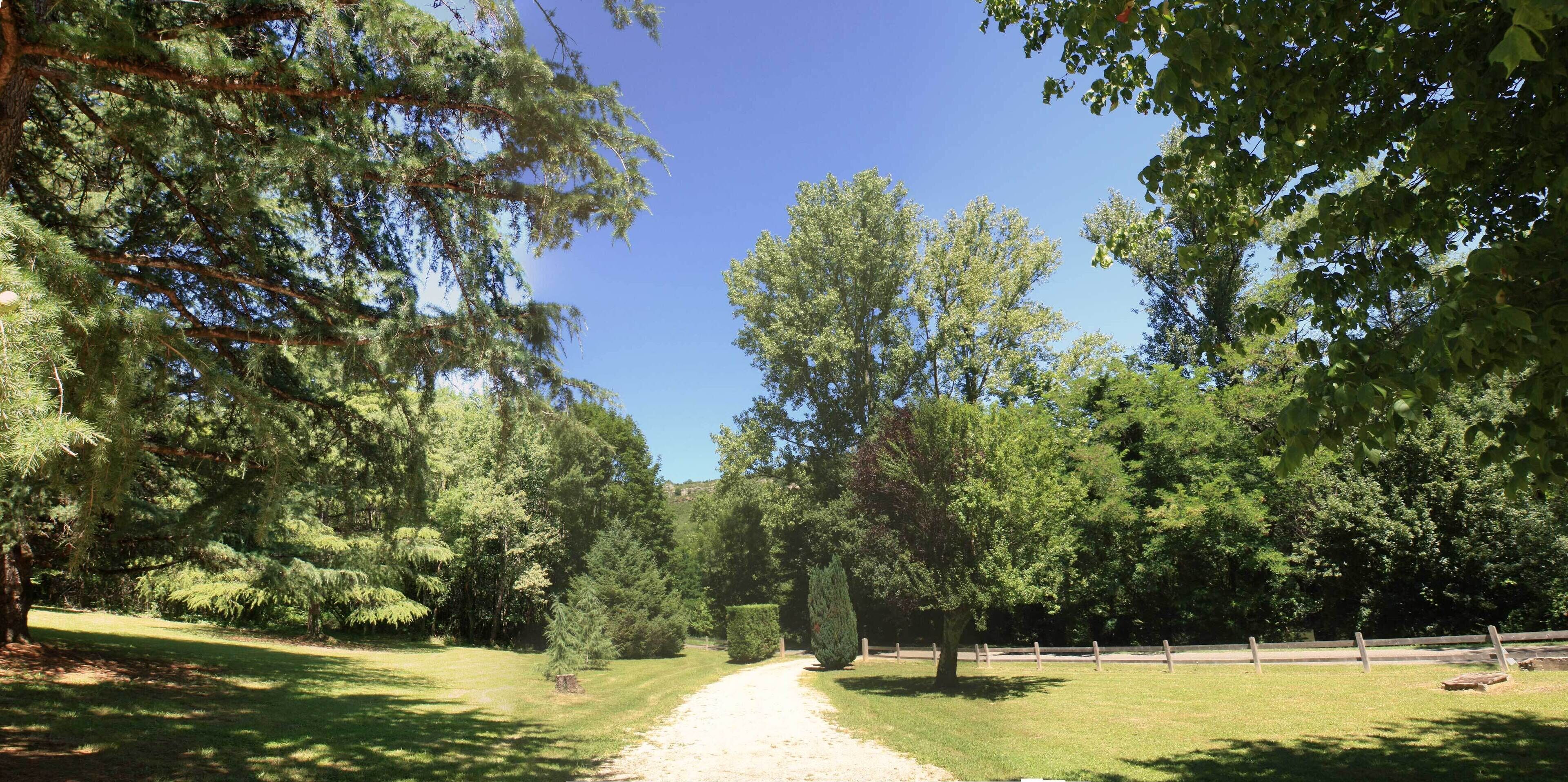 A pathway through a park with various trees and a clear sky.