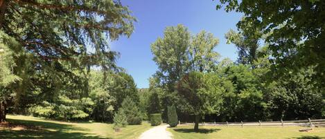 A pathway through a park with various trees and a clear sky.