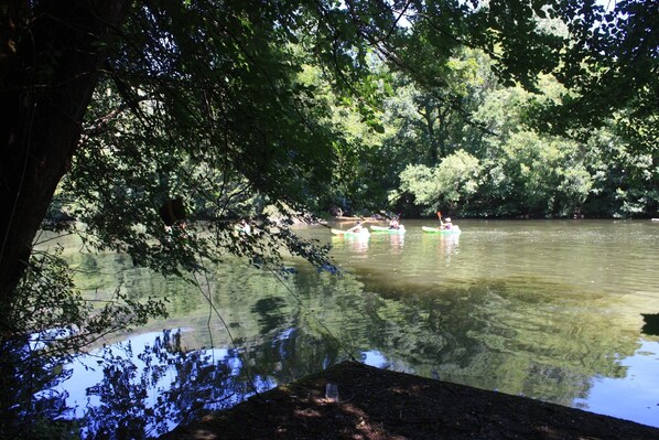 A calm river with kayaks and people paddling, surrounded by dense trees.