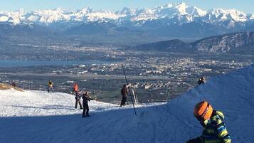 Sneeuw- en skisporten