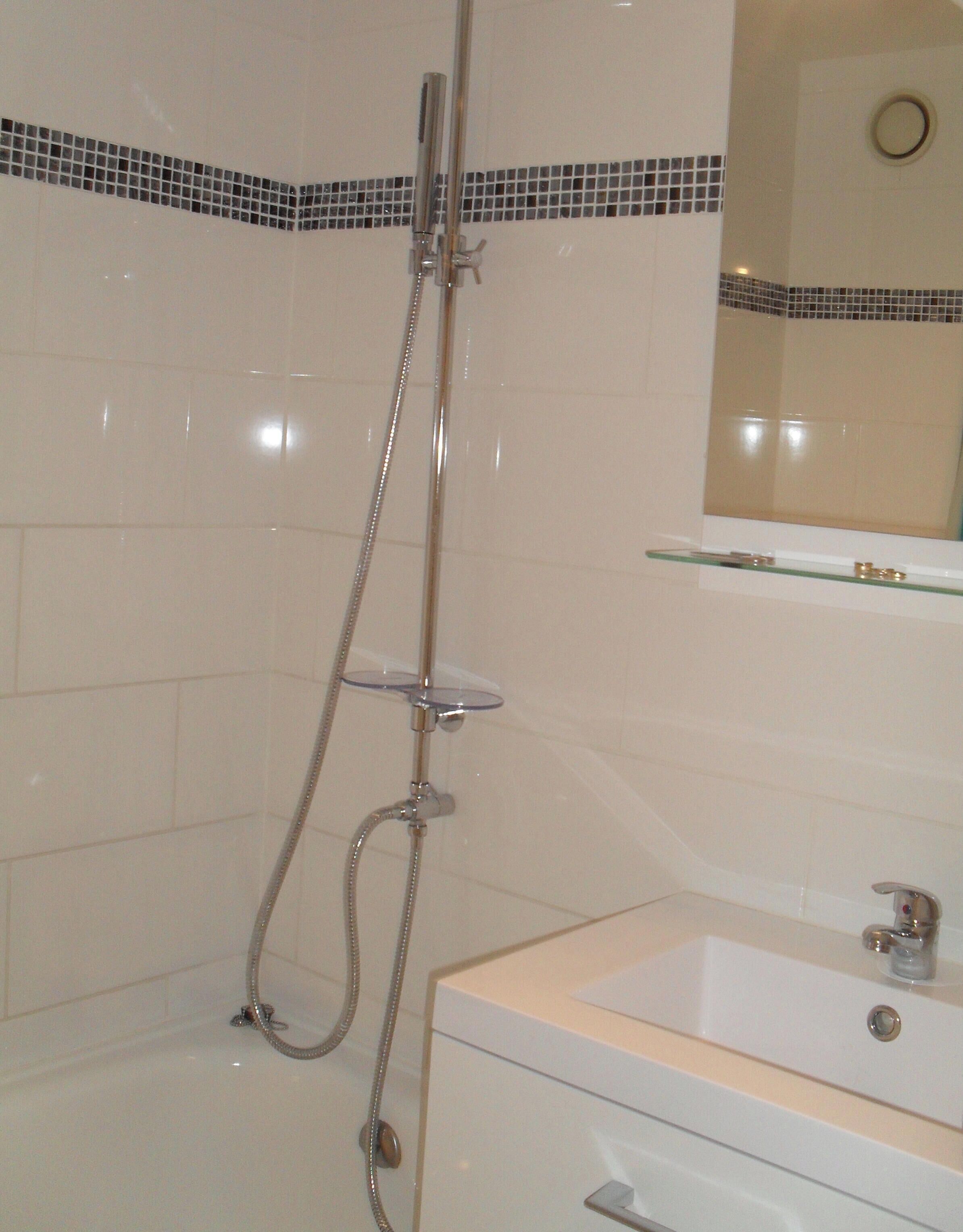 A bathroom with a shower, a sink, and a mirror.