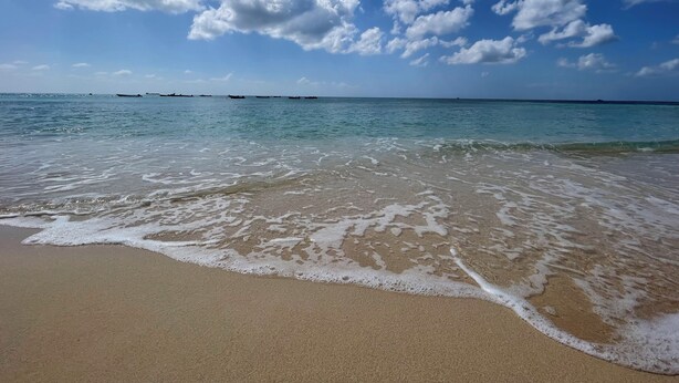 A beach with clear water, a sandy shore, and a partly cloudy sky. - Breathtaking Beachfront Apartment - FREE Wi-Fi (Bridgetown)