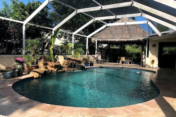 Heated Pool, salt water filtering system, eliminates harsh chlorine chemicals.