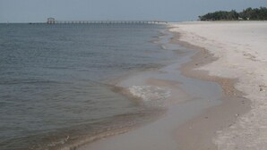 A beach with a long pier extending into the water. - On the Beach, Teddy Roosevelt Stayed Here. Pet friendly, large fenced property (Pass Christian)