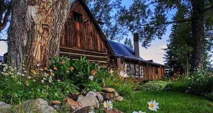 The Original Ice House- History at its Finest only