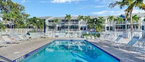A swimming pool with lounge chairs, a building with multiple windows, and palm trees.