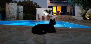 Pool - villa fully equipped with swimming pool and sea view and 360 °  (kamilari)