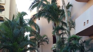 Un pati amb palmeres, un camí de pedra i un edifici amb balcons.
