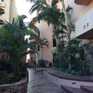 Stroll through the serene courtyard surrounded by lush greenery and modern architecture.