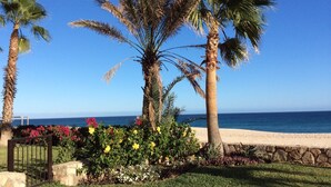 Jardí a peu de platja amb palmeres i flors de colors, una paret de pedra i una vista clara de l'oceà.