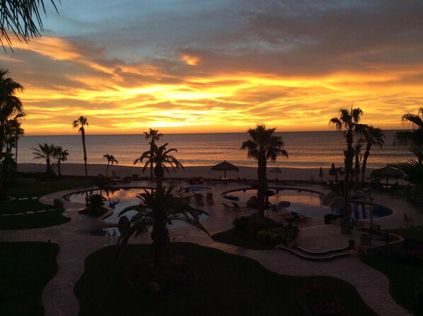 Relax by the pool surrounded by palm trees and landscaped gardens, with the beach just steps away.