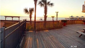 Ein Holzdeck mit Palmen, mit Blick auf den Ozean.