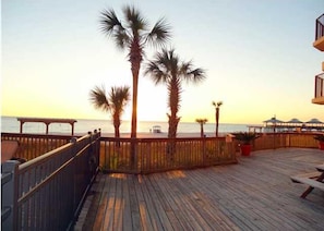 A wooden deck with palm trees, overlooking the ocean.