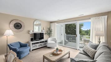 TV, fireplace, DVD player