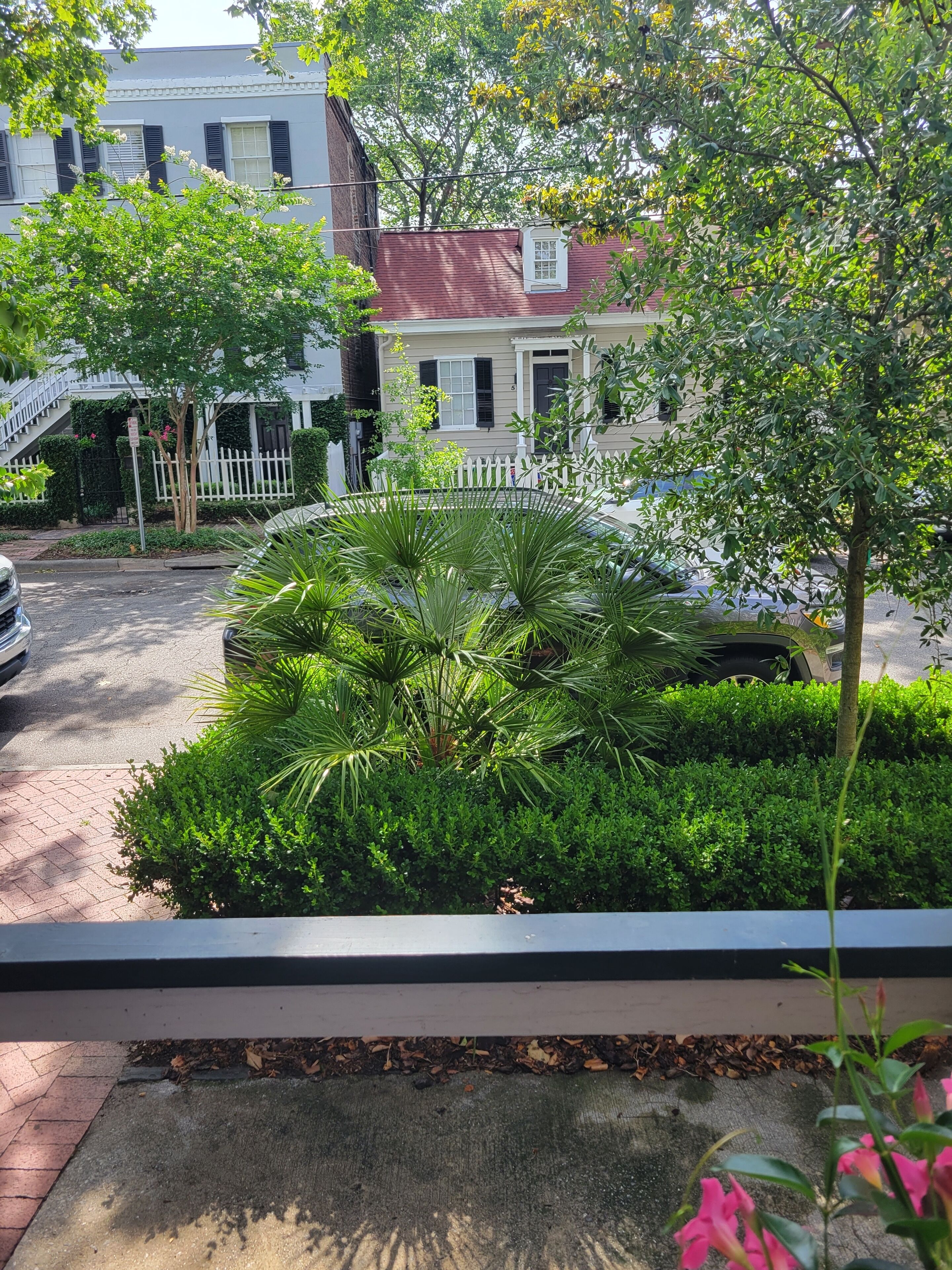 A residential street with houses, a white picket fence, and lush greenery.