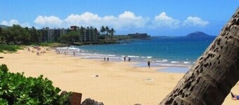 Dazzling Ocean View, Modern, Whole house AC.  Upgraded Glass for a quiet setting