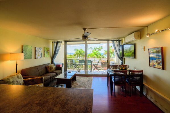 Smart TV, DVD player, books, stereo