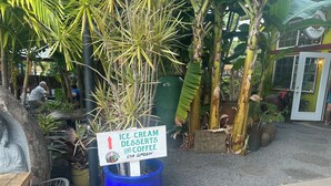 Un espace extérieur aménagé avec des sièges, agrémenté d’une enseigne indiquant « desserts glacés et café », entouré de plantes tropicales et bordé d’un bâtiment sur lequel est affiché le nom « Da Green Coffee Bar ».
