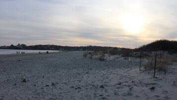 Sun-loungers, beach towels