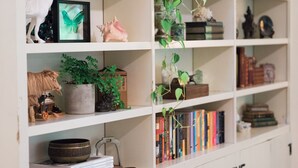 Een boekenplank met diverse decoratieve objecten, waaronder een ingelijste vlinder, schelpen en boeken.