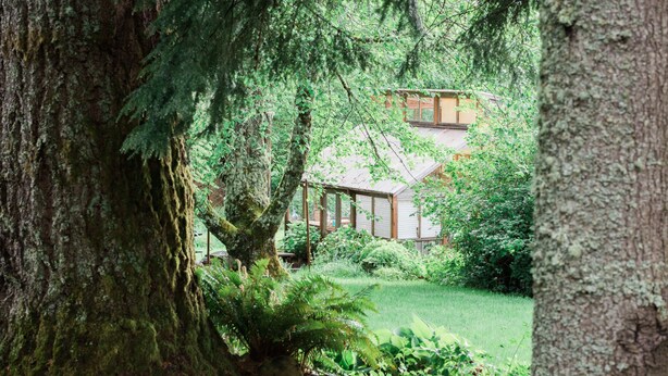 Een traditioneel Japans gebouw omgeven door weelderige begroeiing en grote bomen.
