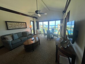 TV, DVD player, books