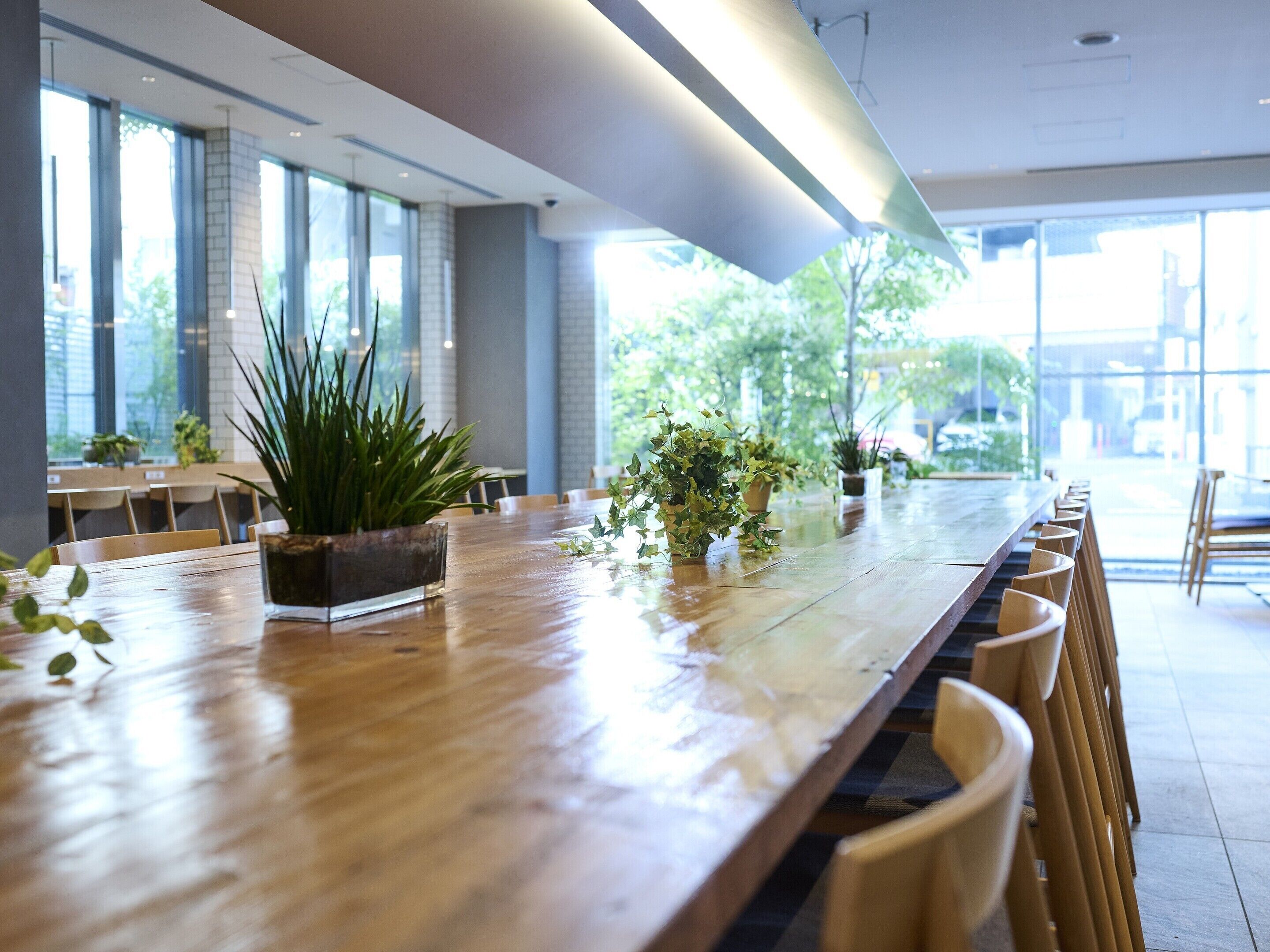 Una larga mesa de madera con sillas, plantas en macetas y vistas al exterior a través de amplias ventanas.