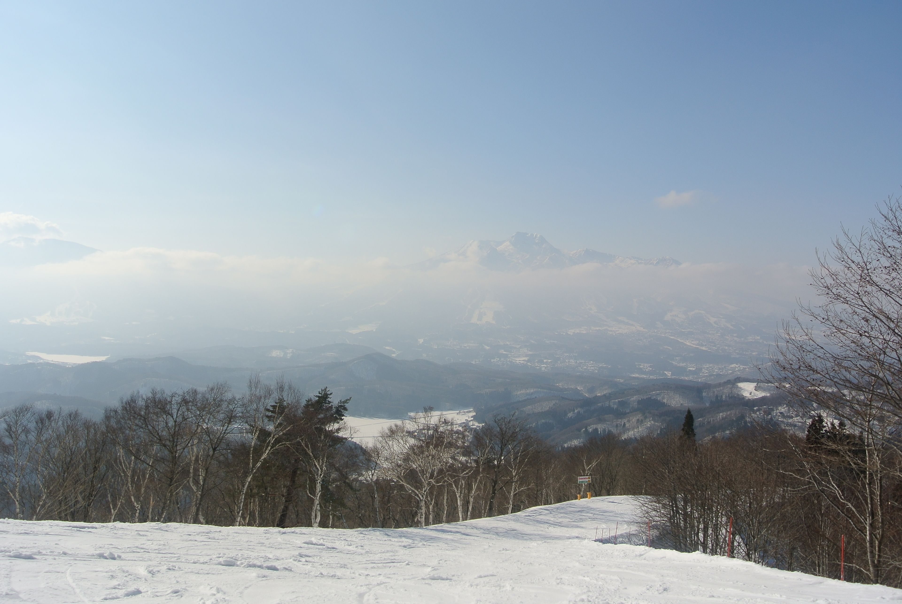 A snowy landscape with a clear view of distant mountains and leafless trees.