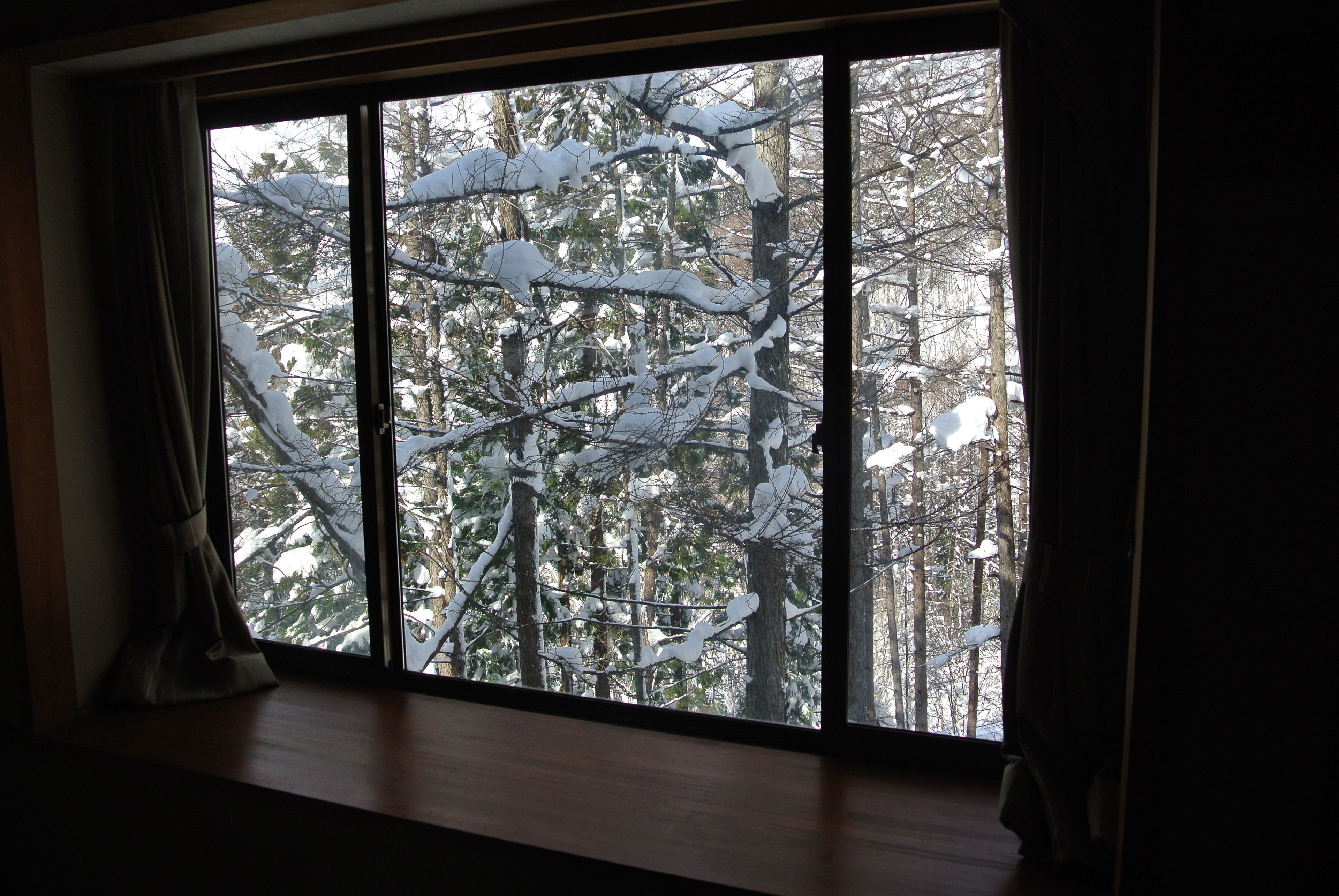 Traditional Room | Down comforters, desk, blackout drapes, soundproofing