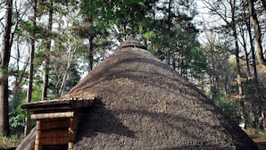 Une hutte à toit de chaume, avec une petite construction en bois adossée à un de ses côtés, le tout entouré d’une zone boisée.