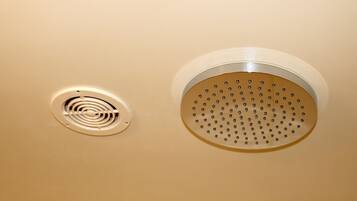 A ceiling with two ventilation grilles.